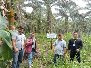 Konflik Lahan 50 Hektar di Kampar Memanas: Pemasangan Plang Dihadang, Mediasi via WhatsApp Dijadwalkan