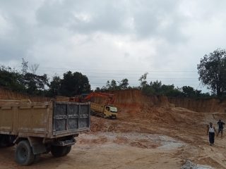 Galian Tanah Ilegal Beroperasi di Belakang Kantor Desa Simpang Kubu, Polres Kampar Diminta Bertindak