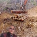 Ditetapkan Tersangka dan Ditahan, Sopir Pengangkut Kayu Tempuh Jalur Praperadilan